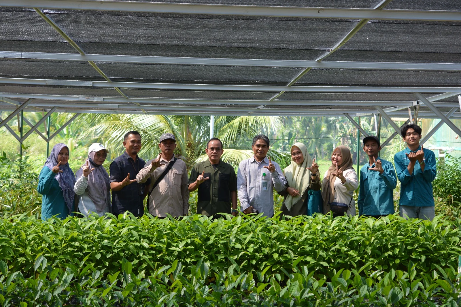 Kelompok Tani Hutan Bengkulu